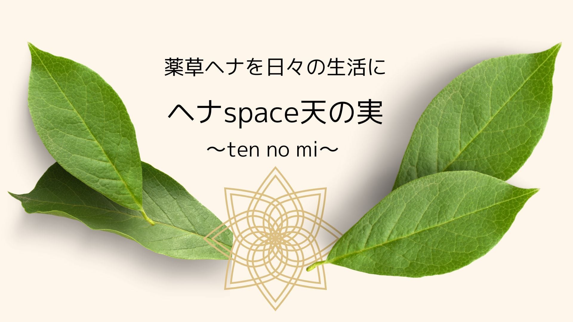 shop tennomi