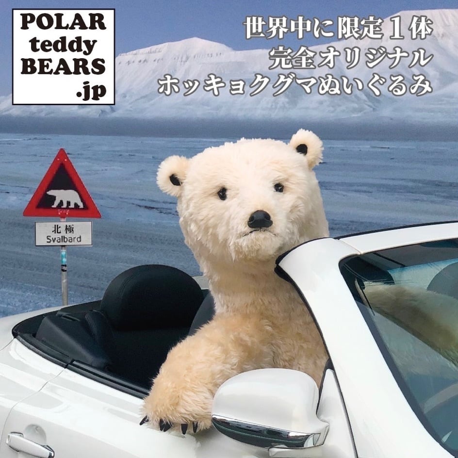 POLAR teddy BEARS .jp