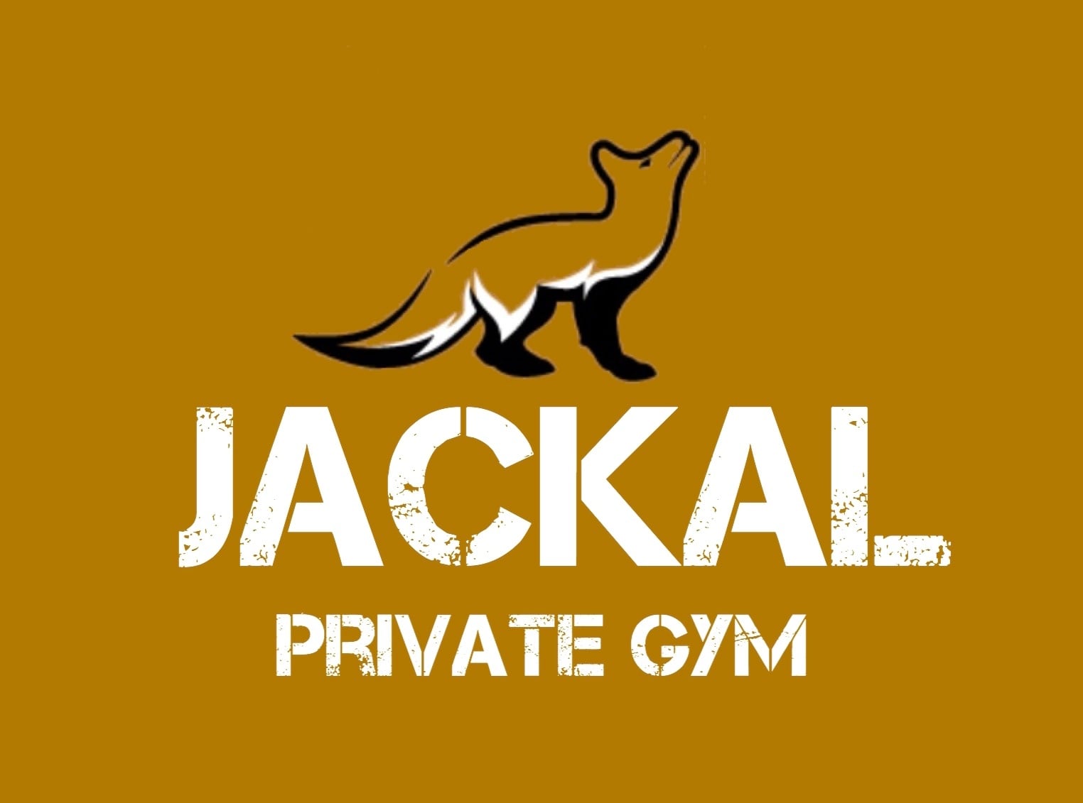 jackal