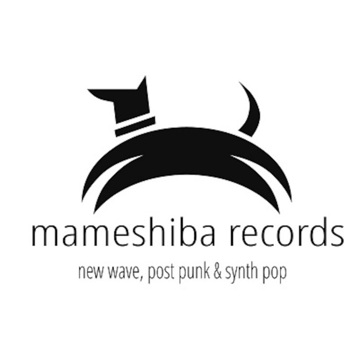 マメシバレコード mameshiba records