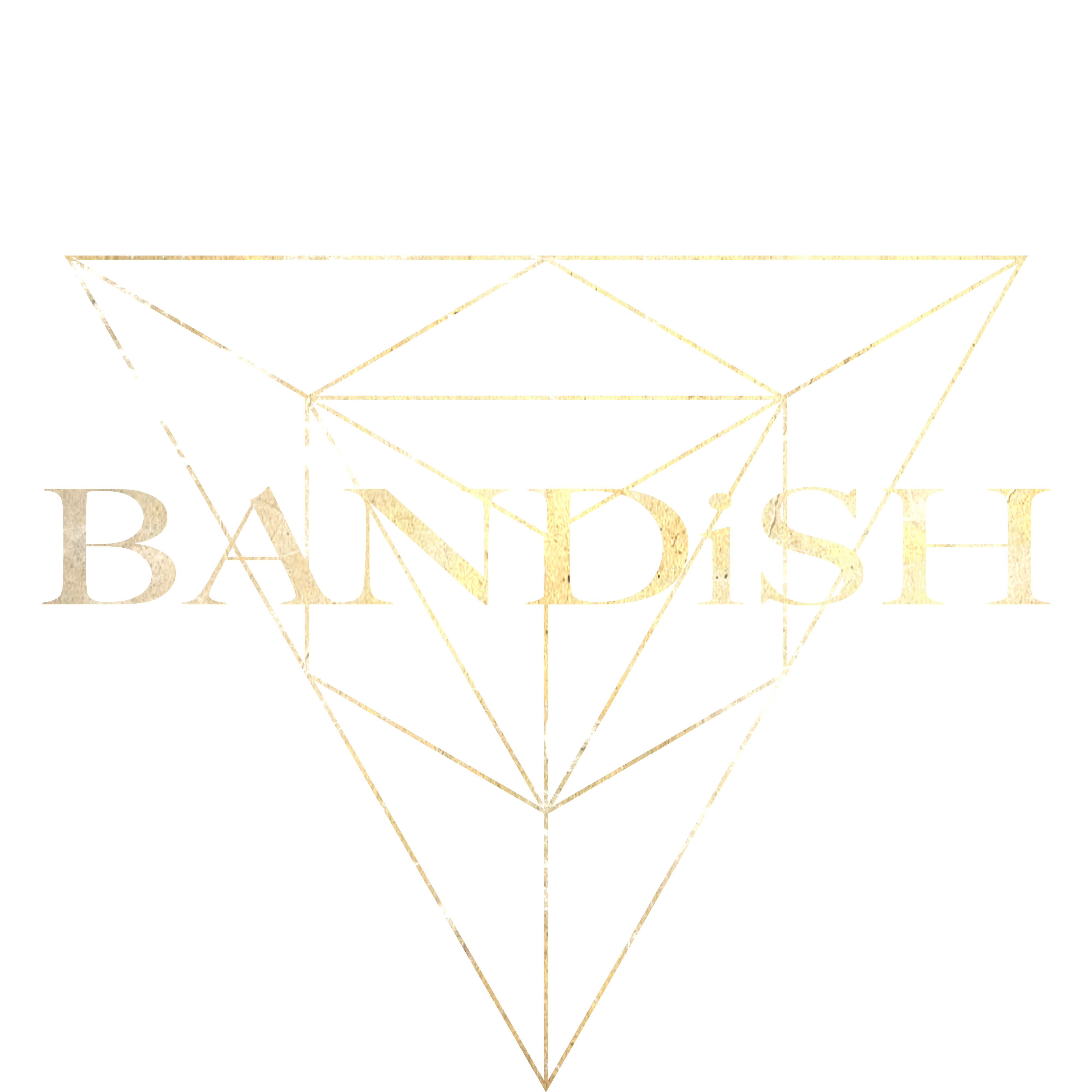 BANDiSH ONLINE SHOP