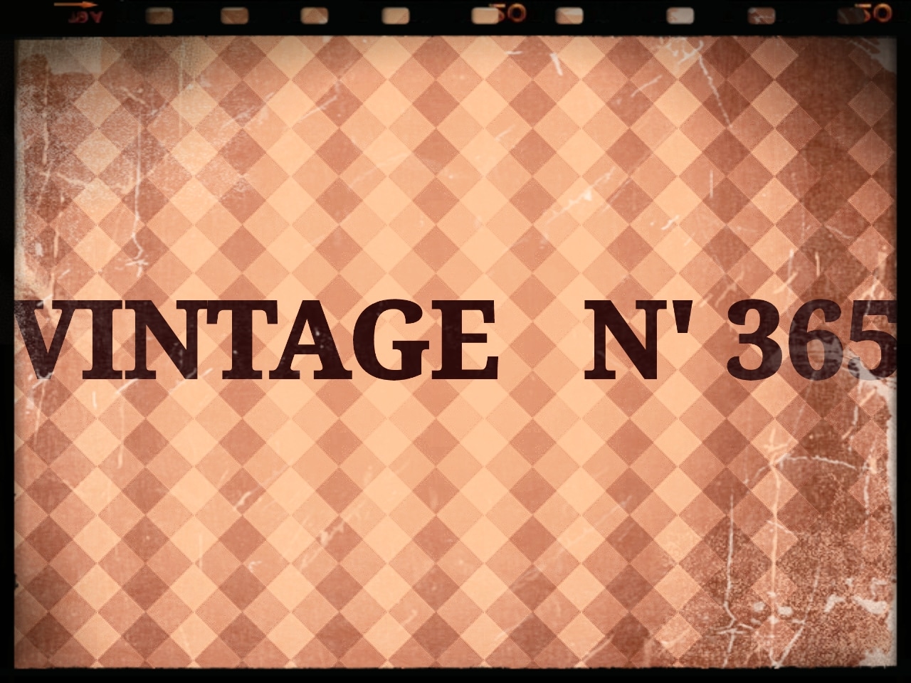 VINTAGE N'365