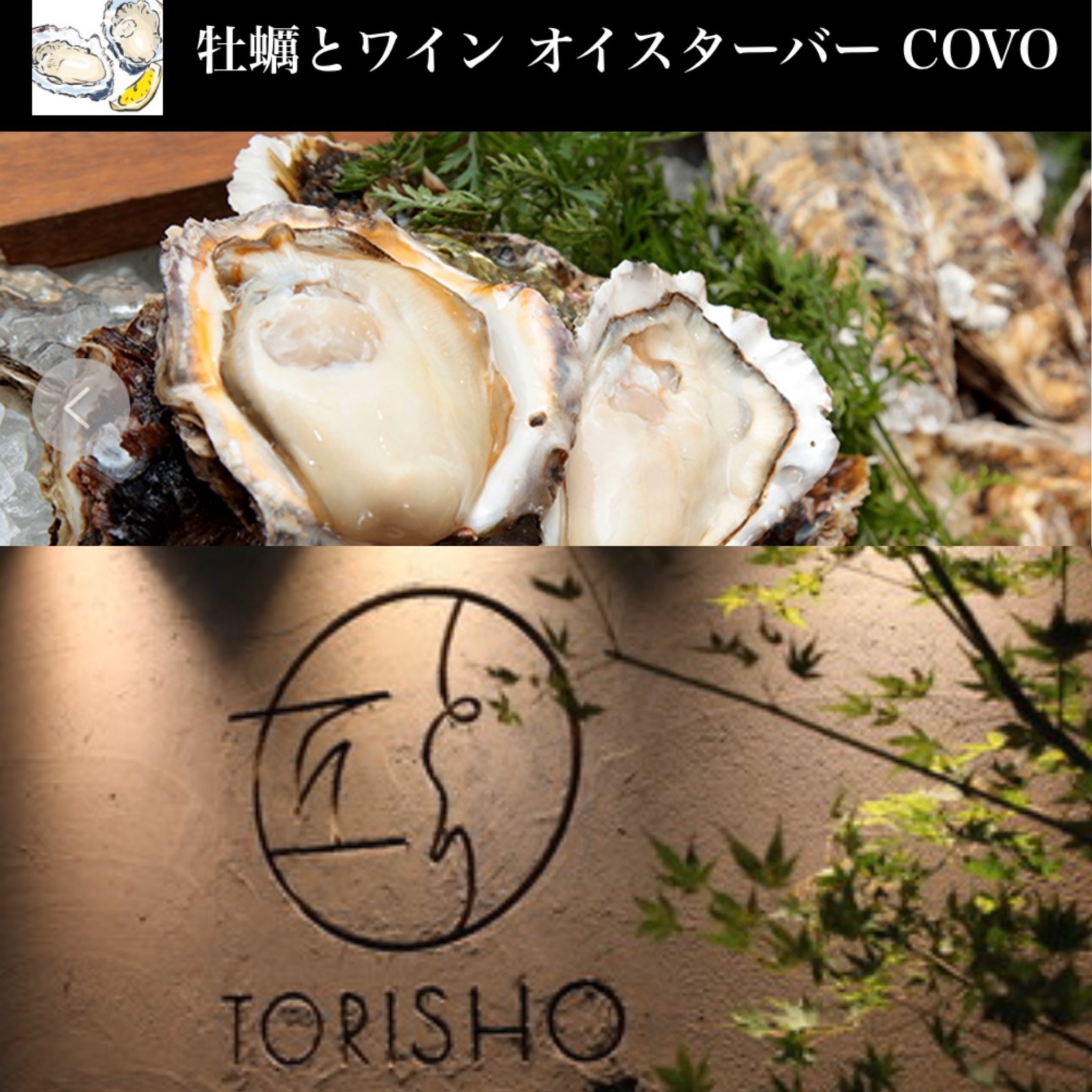 代々木　オイスターバーCOVO。料理屋 とり匠　駒込。