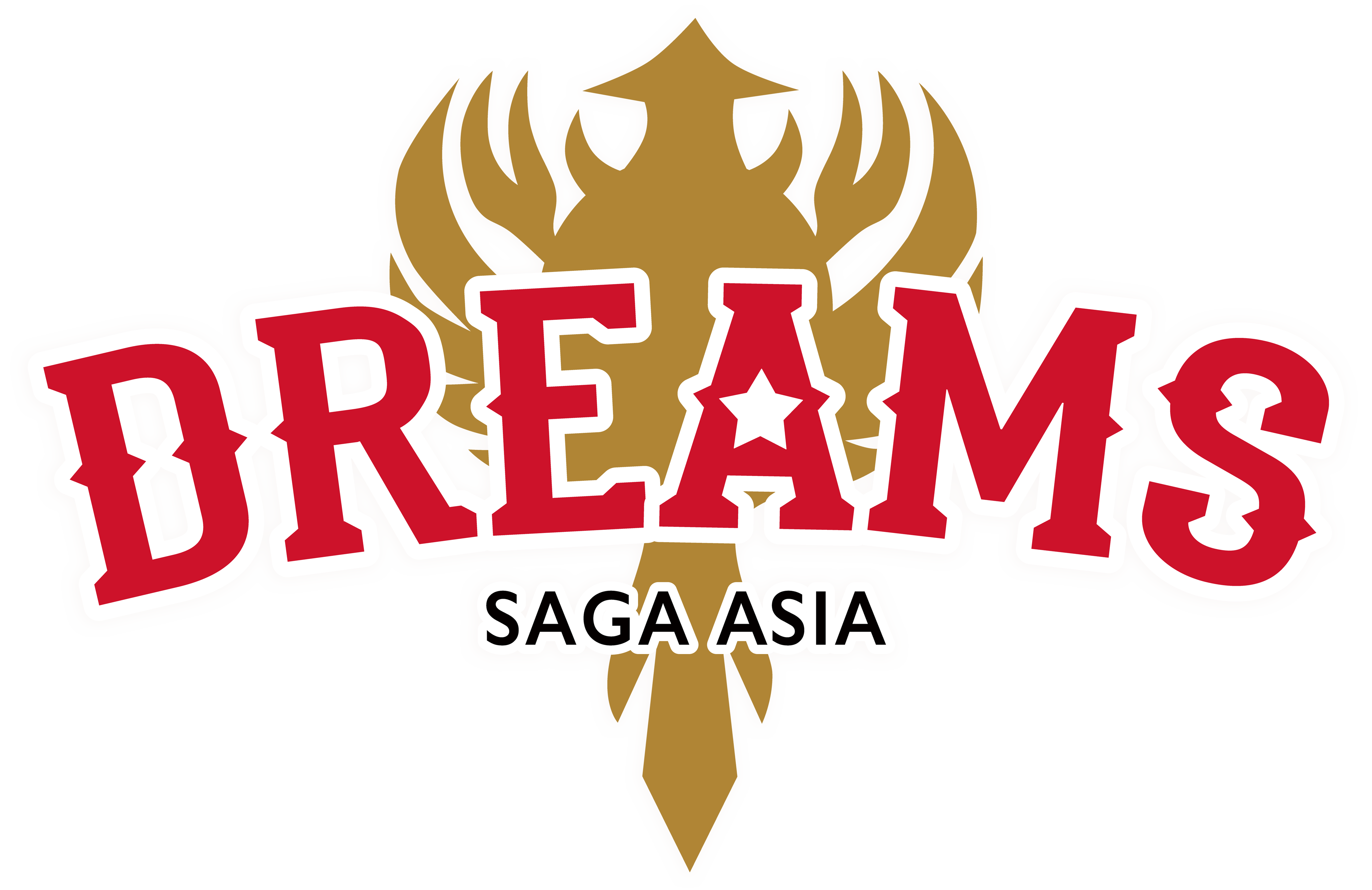 佐賀アジアドリームズ公式オンラインショップ