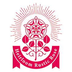 Heirloom Rustic Rose