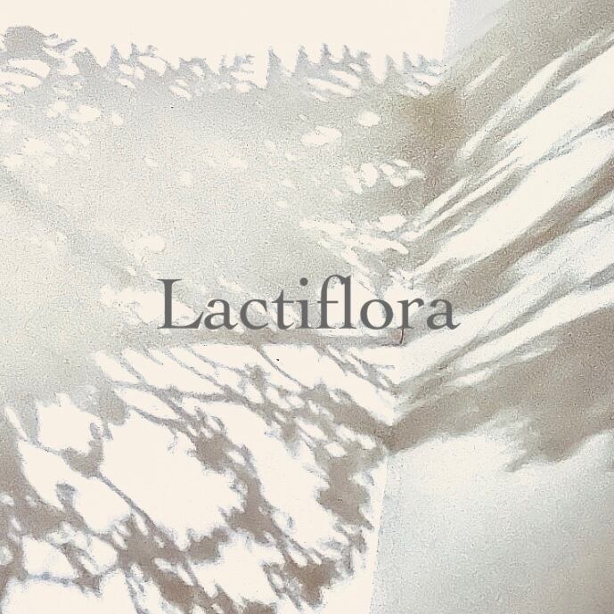 Lactiflora