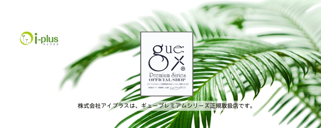 i-plus