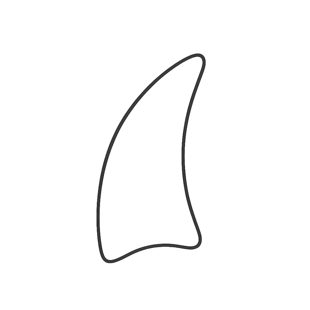 恐竜化石 ジュラシック