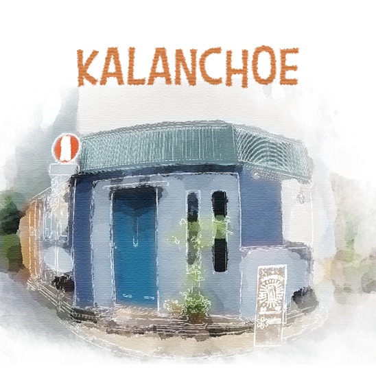 Kalanchoe(カランコエ) Used&Vintage