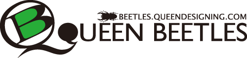 QUEEN BEETLES グッズ販売サイト