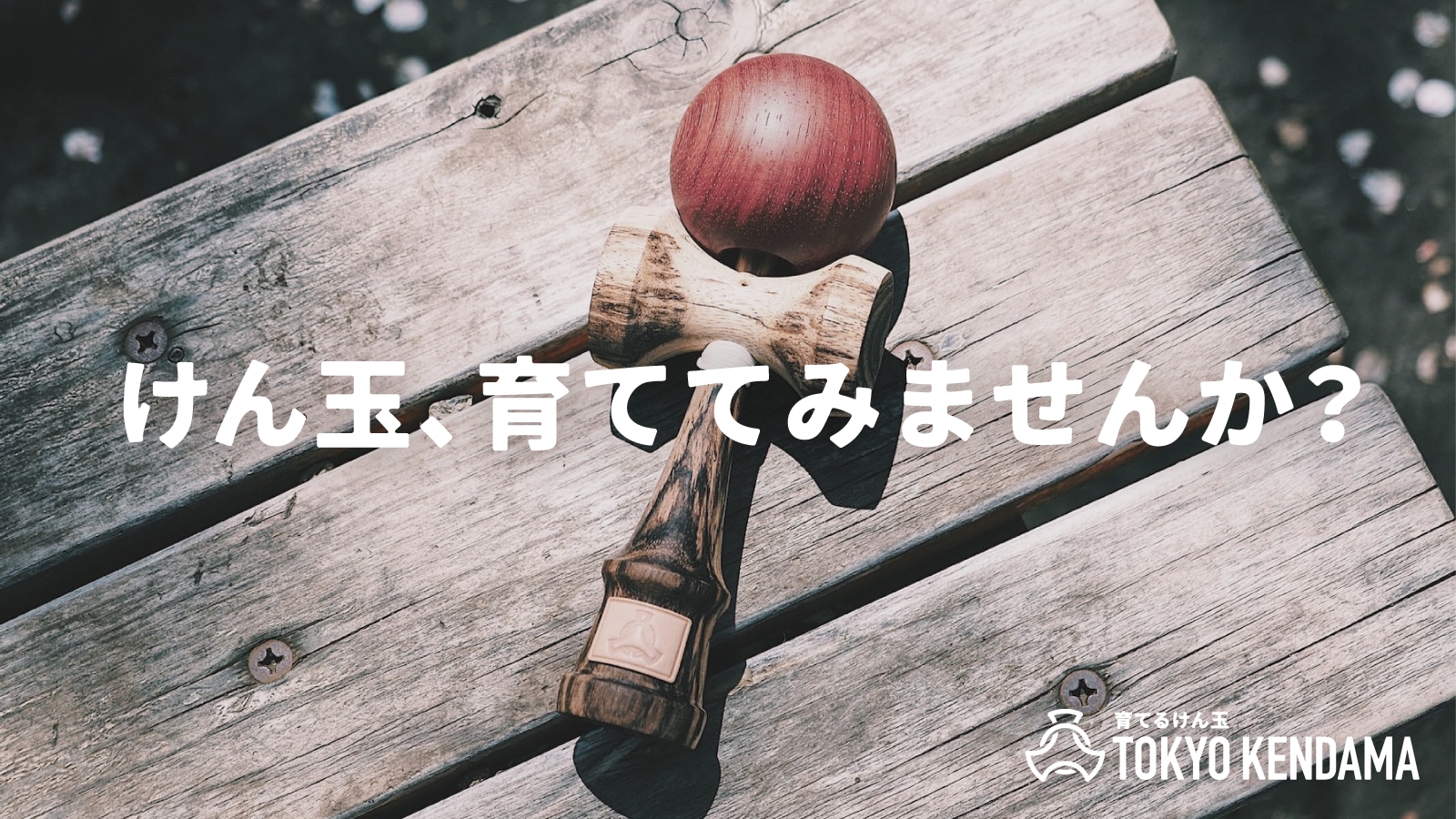 TOKYO KENDAMA｜育てるけん玉