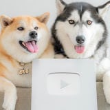 ALL ITEM | もちごめ兄弟ちゃんねる オリジナルグッズショップ