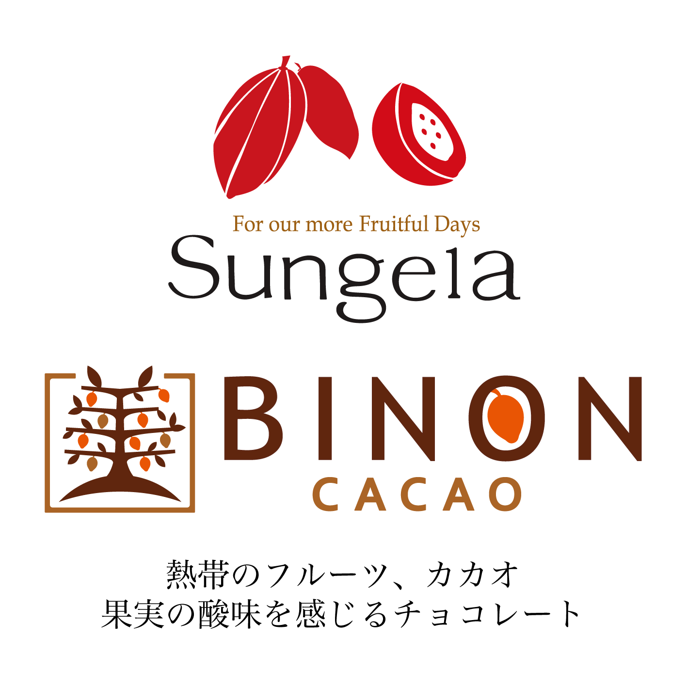 BINON ビノンチョコレート @オンラインストア by SUNGELA 