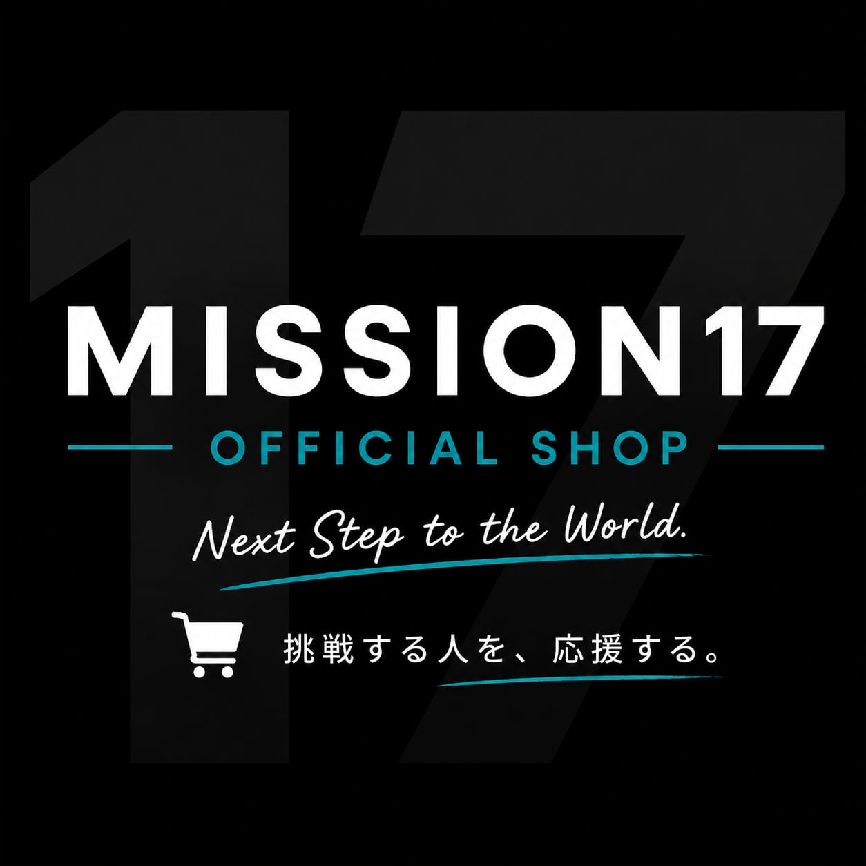 MISSION17