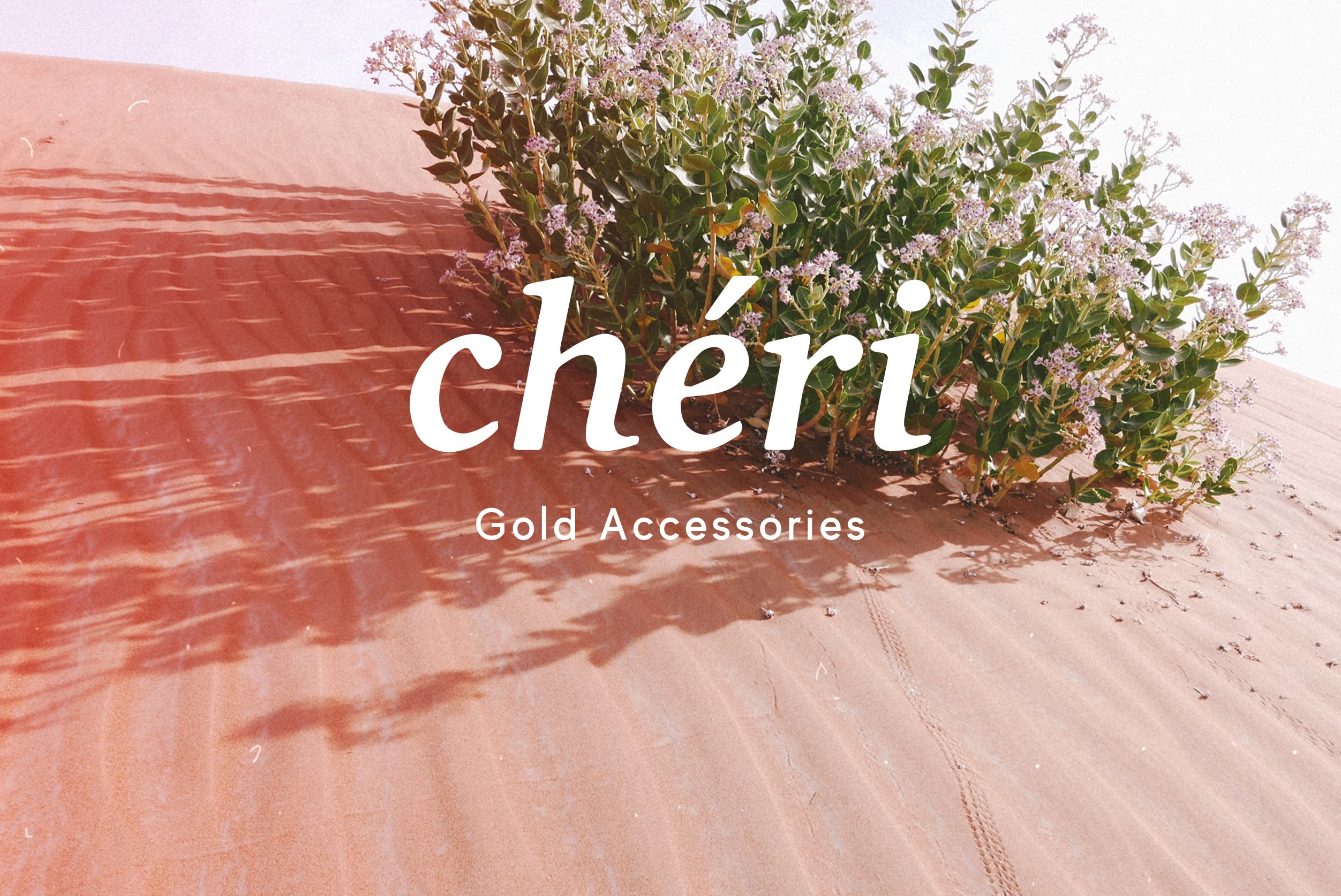 cheri | ゴールドアクセサリー（ピアスとリング以外金属アレルギー対応）