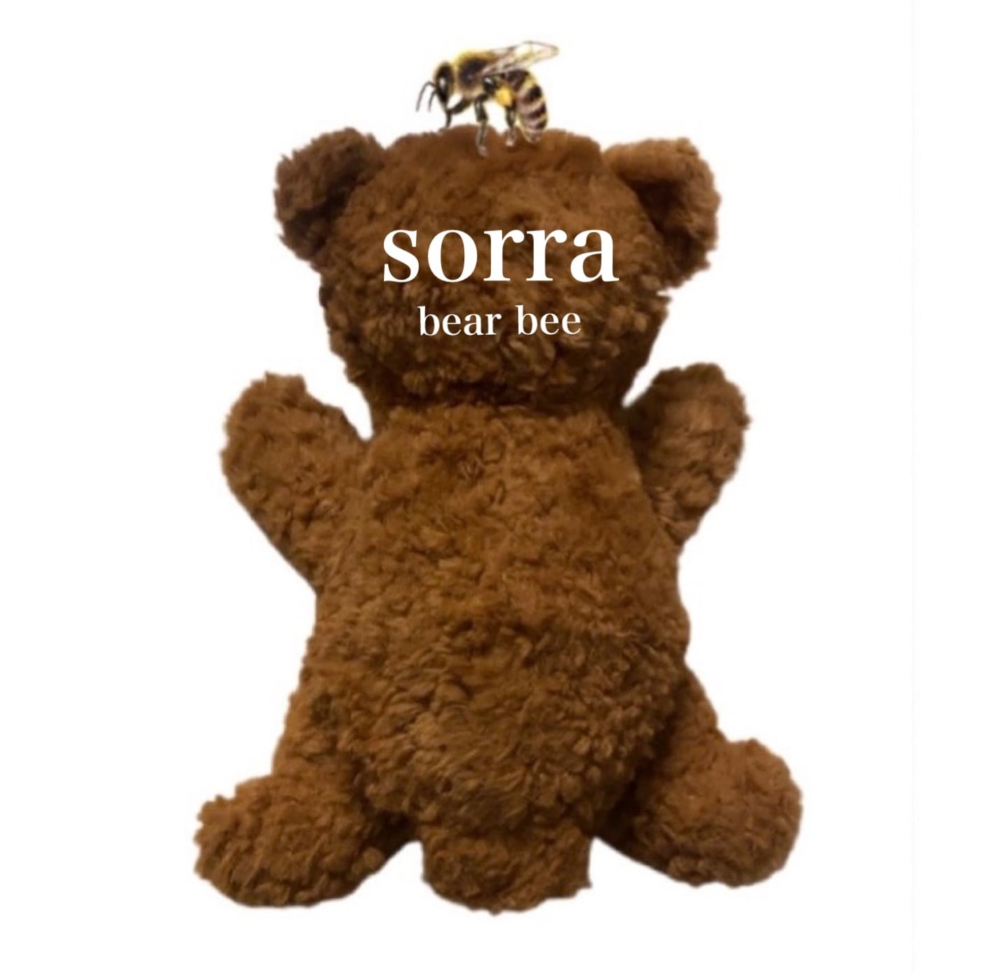 sorra