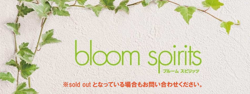 北見のバッグのセレクトショップbloomspirits(ブルームスピリッツ） 