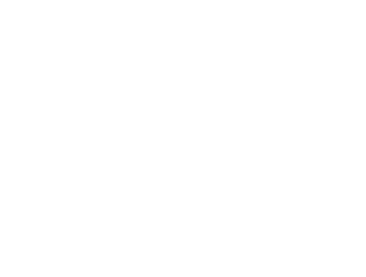 Used Clothing RAYS（レイズ）