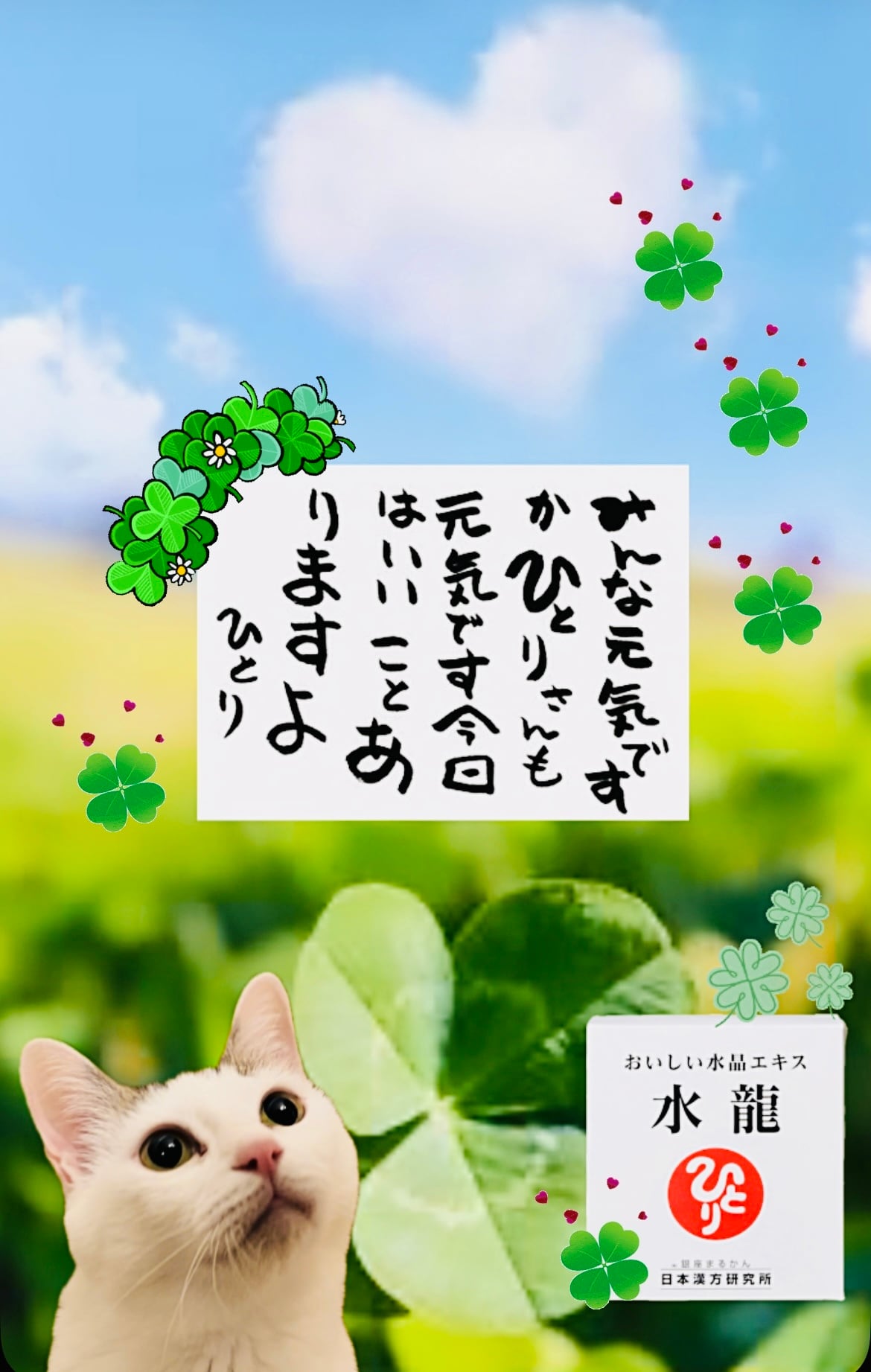 まるかんのお店 ままえもん