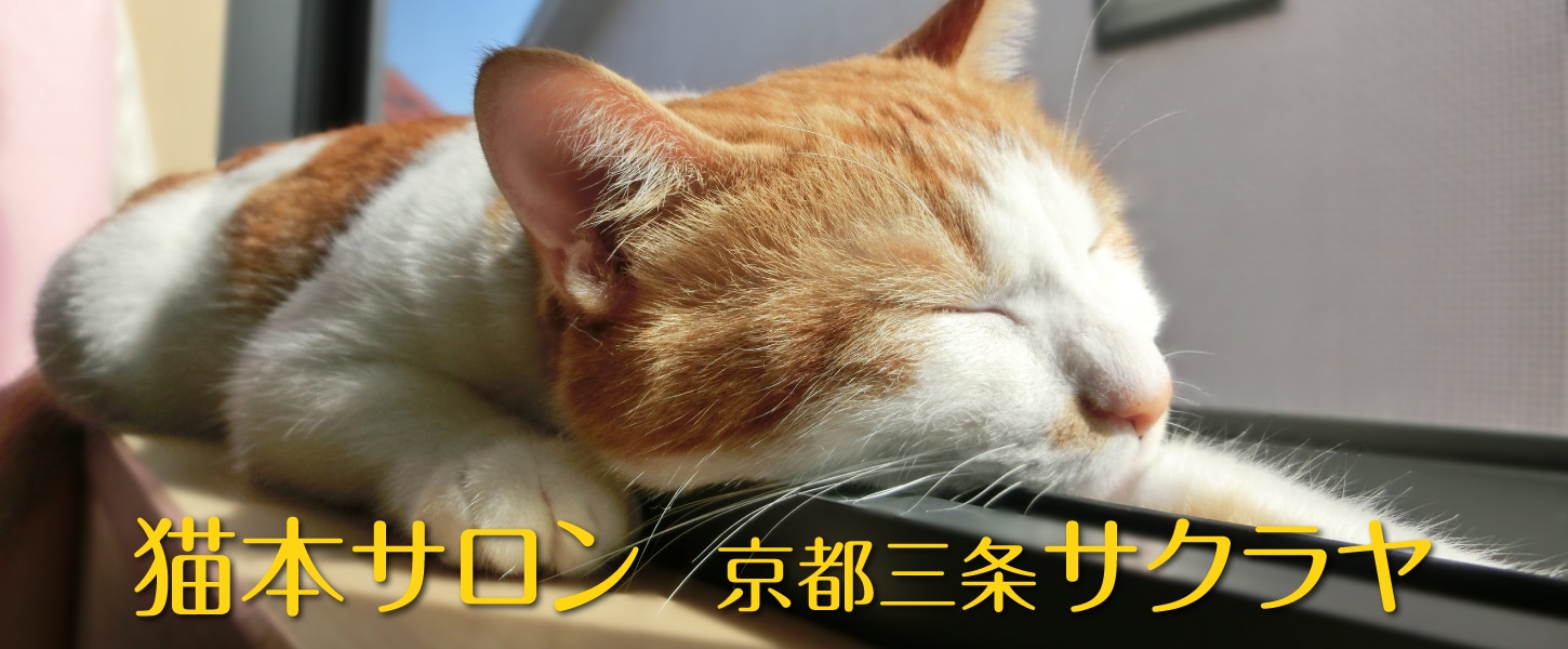 猫本サロン 京都三条サクラヤ