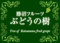 勝沼フルーツ ぶどうの樹