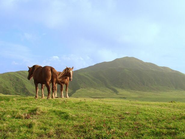 naturerose