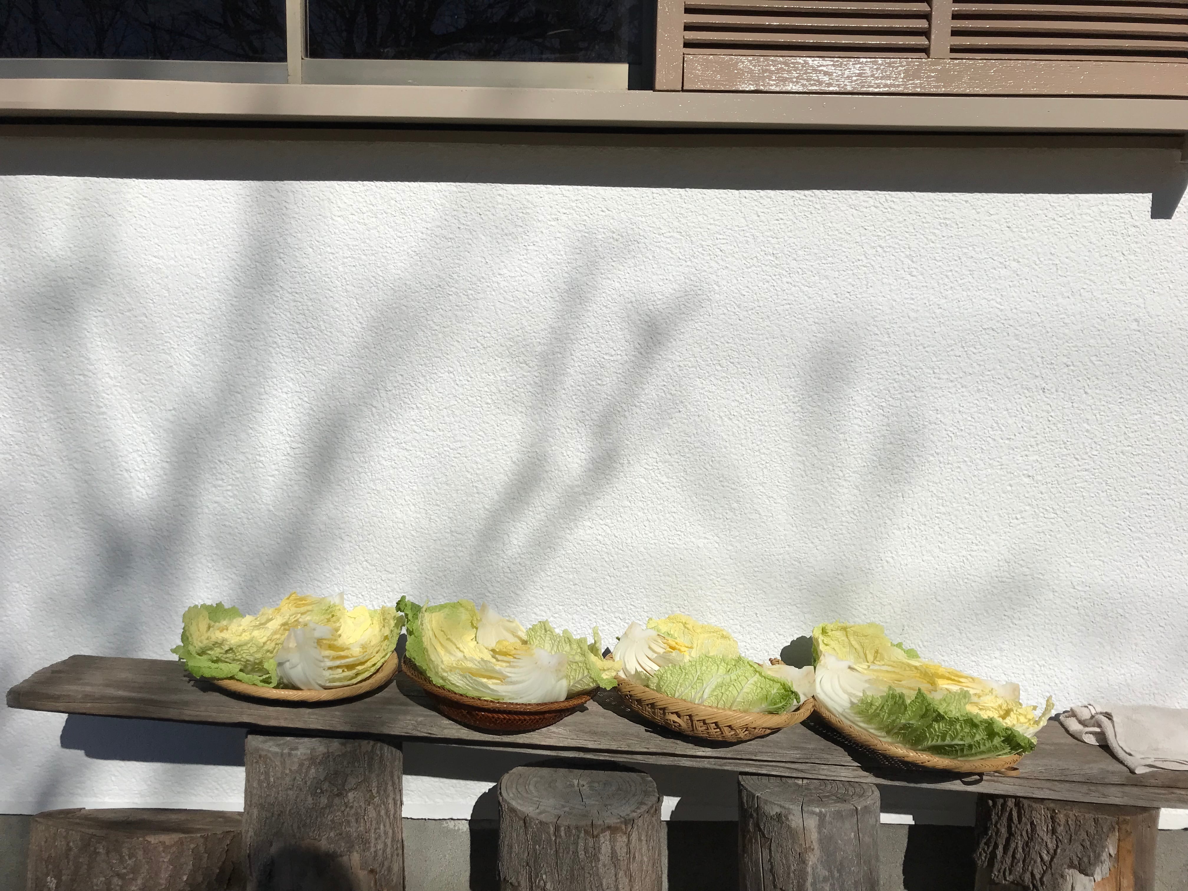 日々のまにまに。