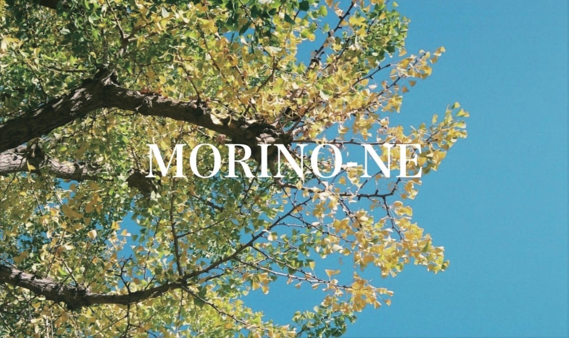Relaxation salon 『MORINO-NE』