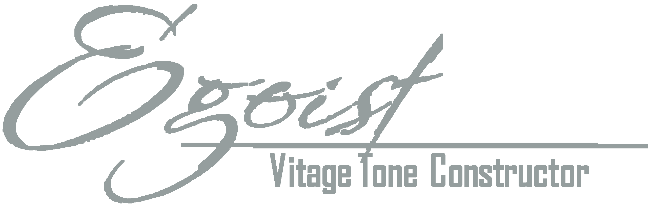 【限定販売】 Egoist vintage tone constructor ギター