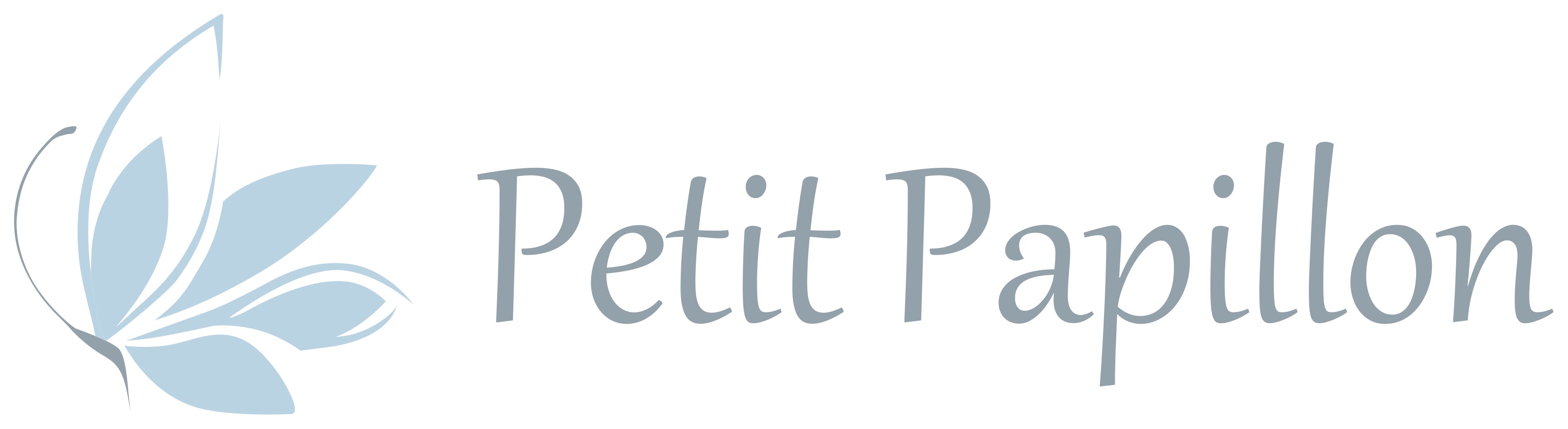 Petit Papillon