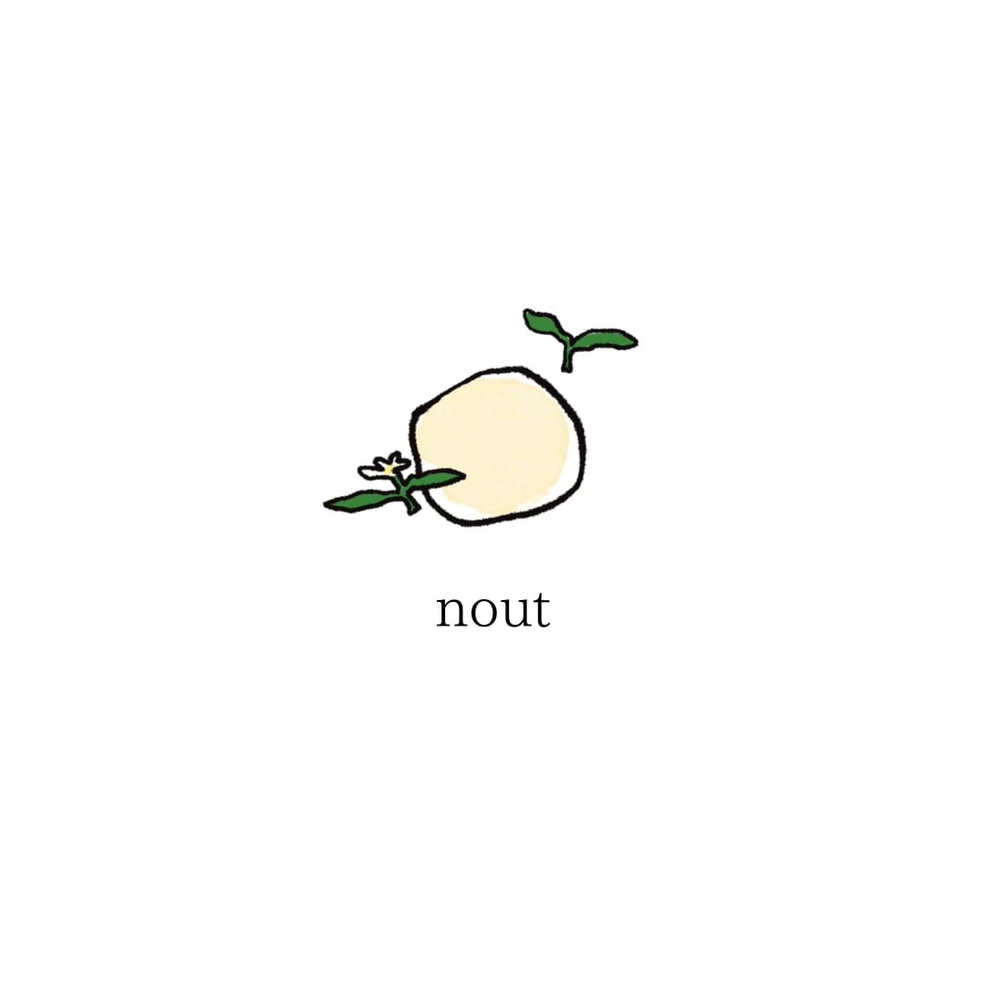 nout 