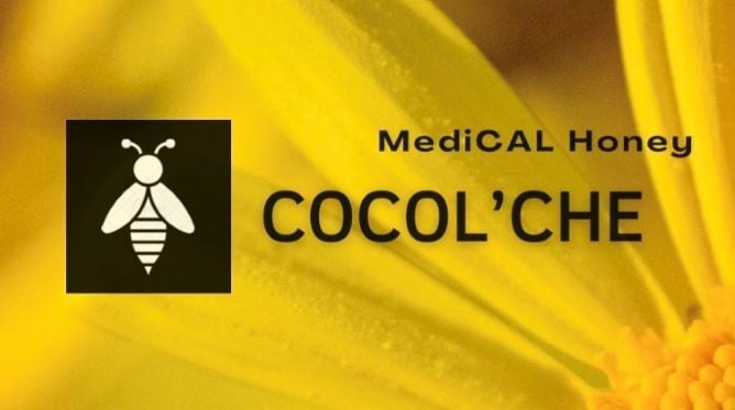 cocol'che ココルシェ　蜂蜜療法家のメディカルハニーショップ