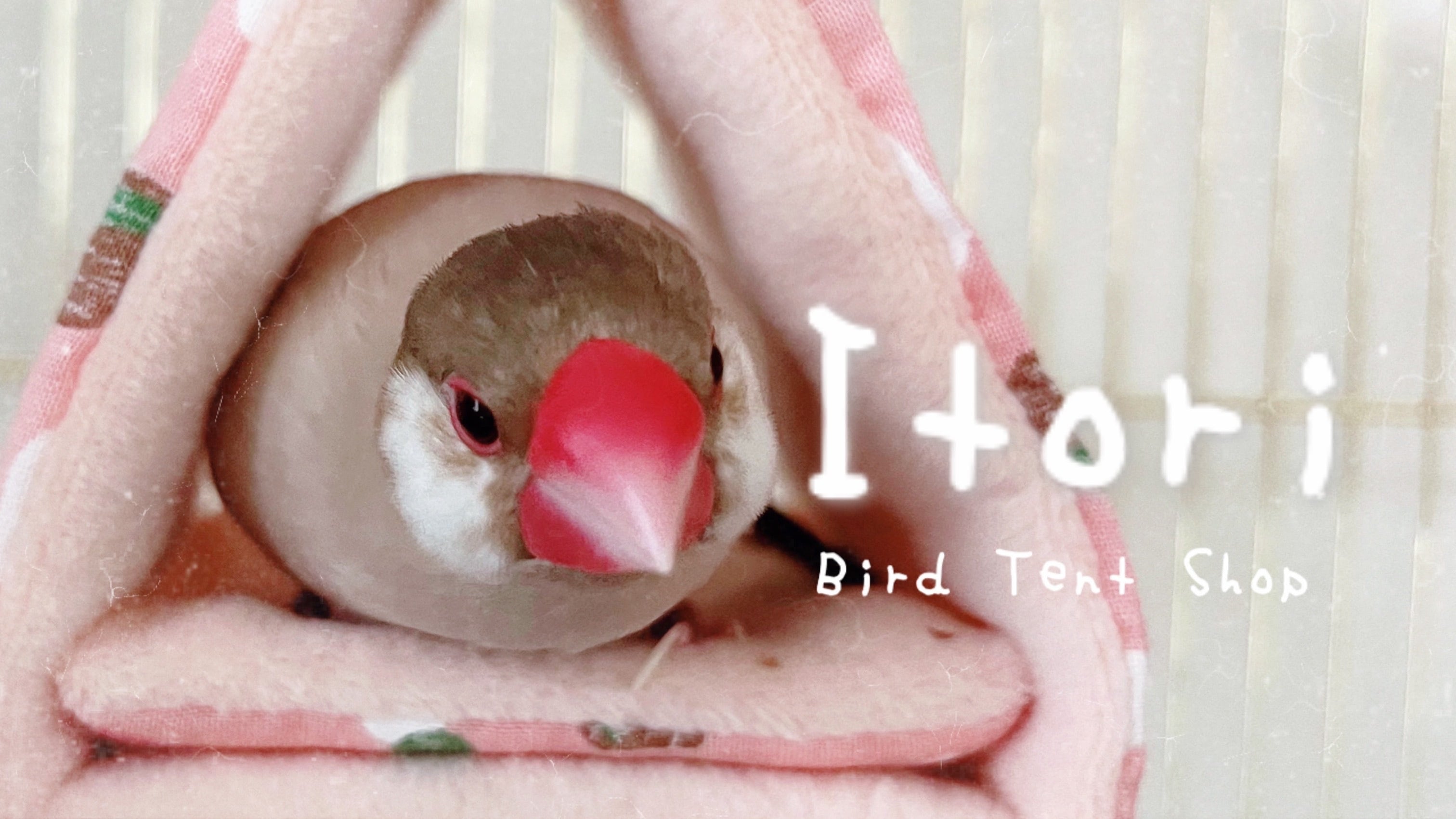 癒鳥 Itori  ｰ おしゃれバードテントのお店