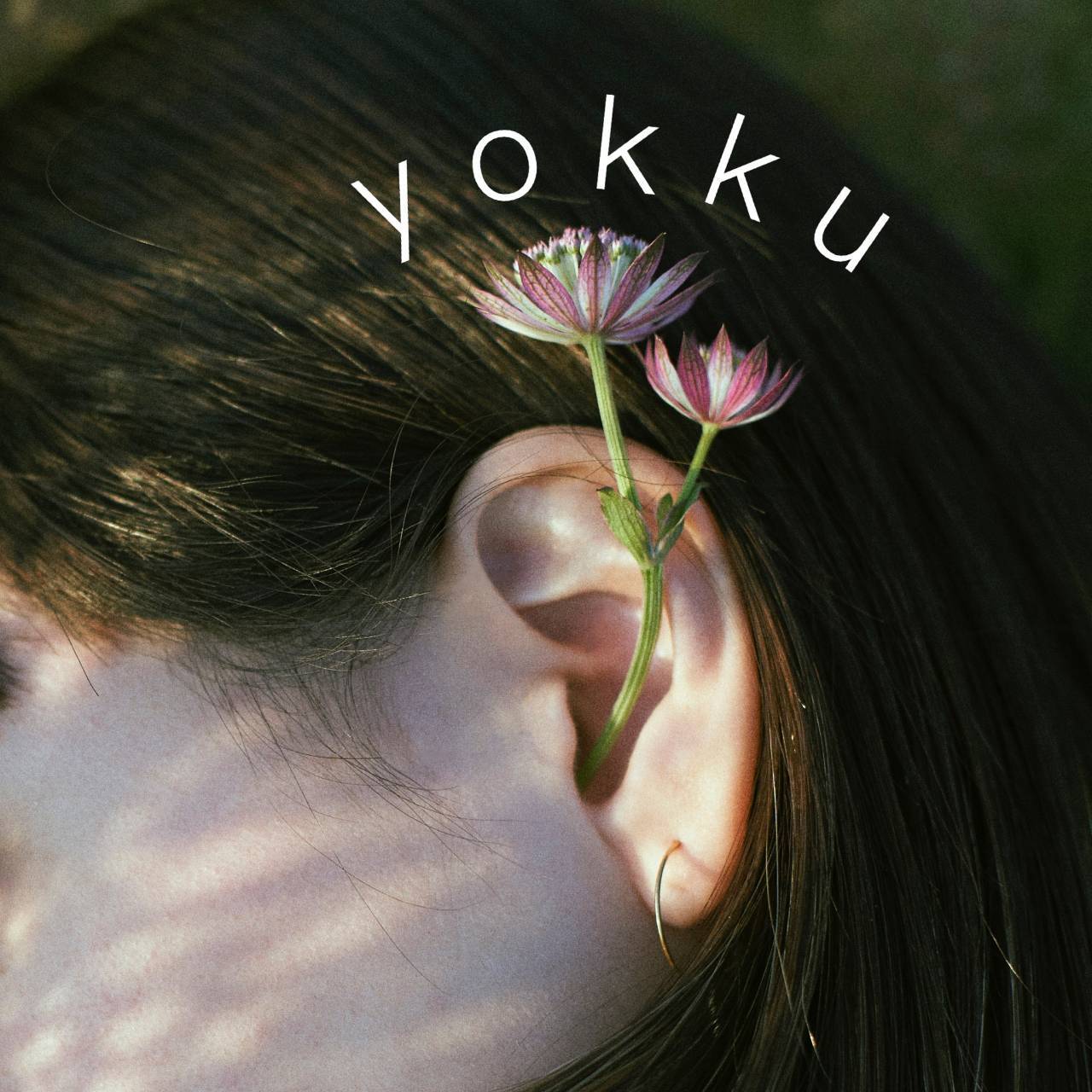 yokku