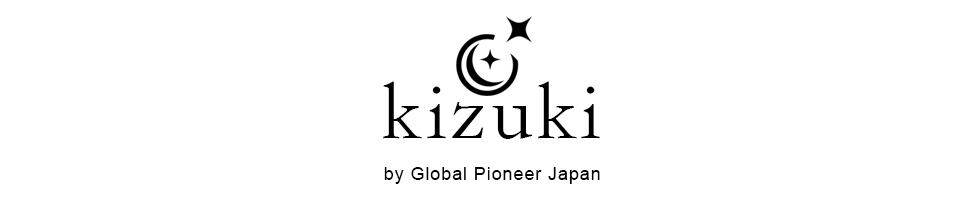 Global pioneer japan