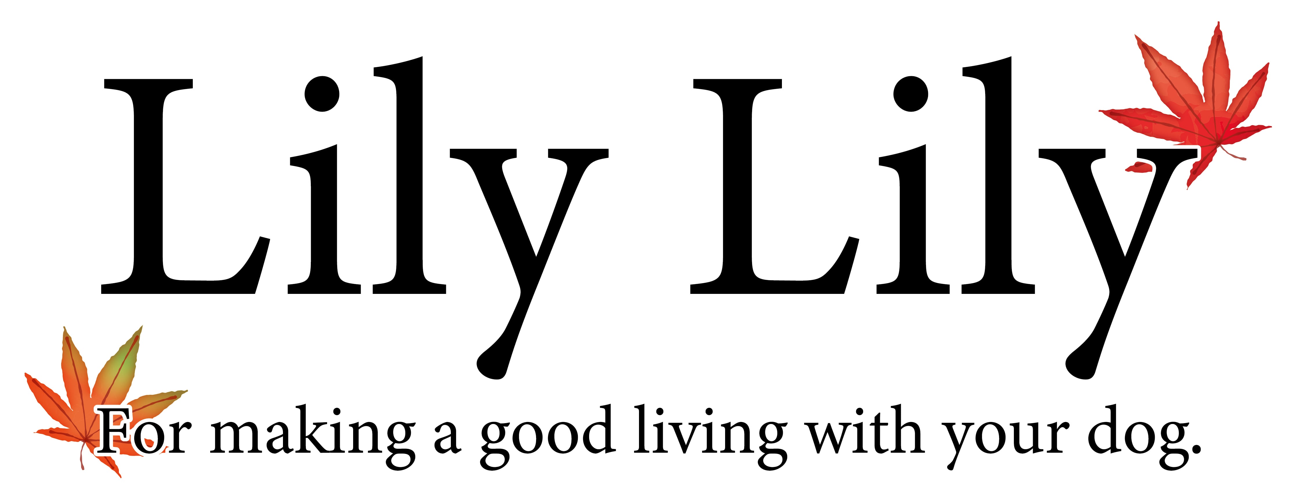 Lily Lily