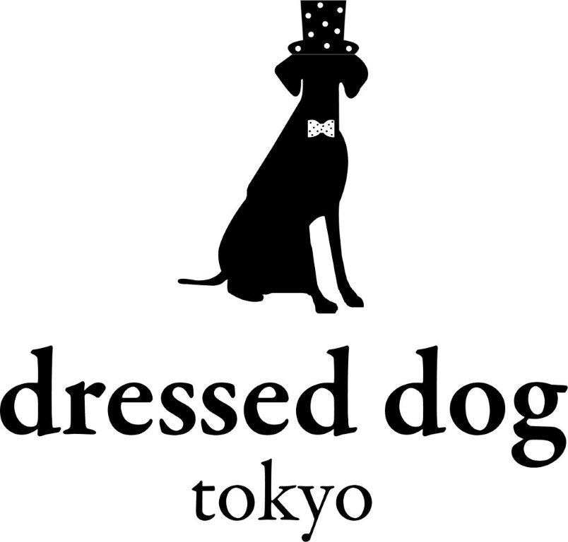 dressed dog