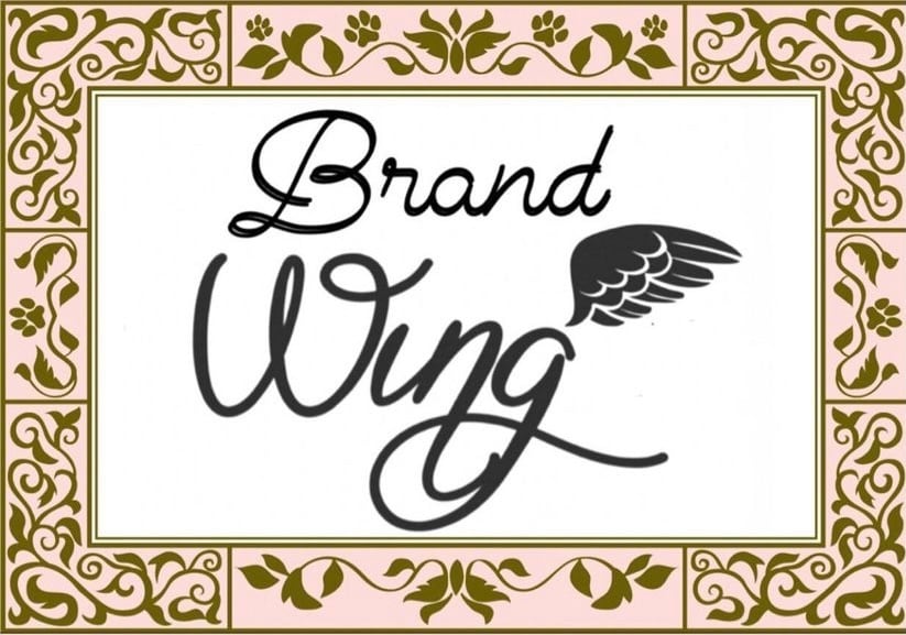 Brand Wing໒꒱