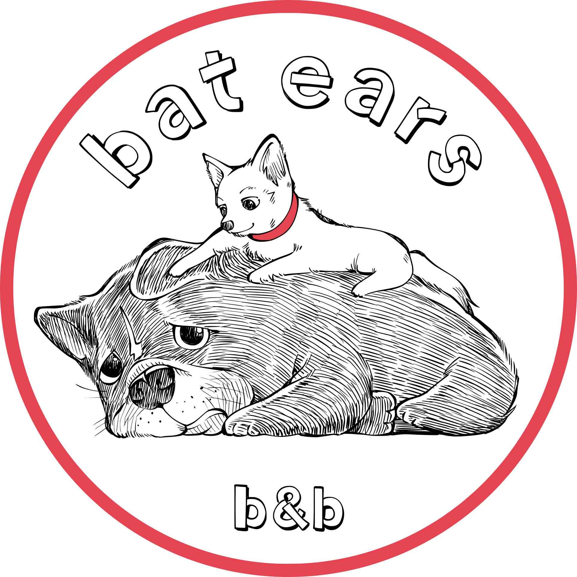 bat ears b&b