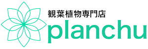 観葉植物専門店プランチュ