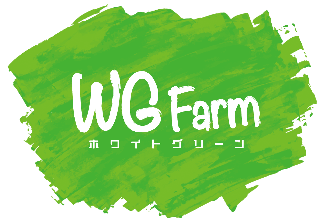 尾張伝統野菜直送！【越津ねぎ】【ほてい大根】WG Farm