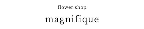 flower shop magnifique hair accessory