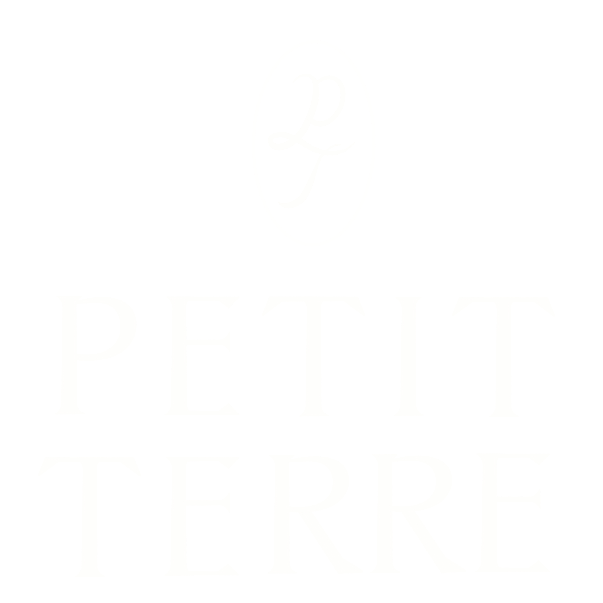 petit terre