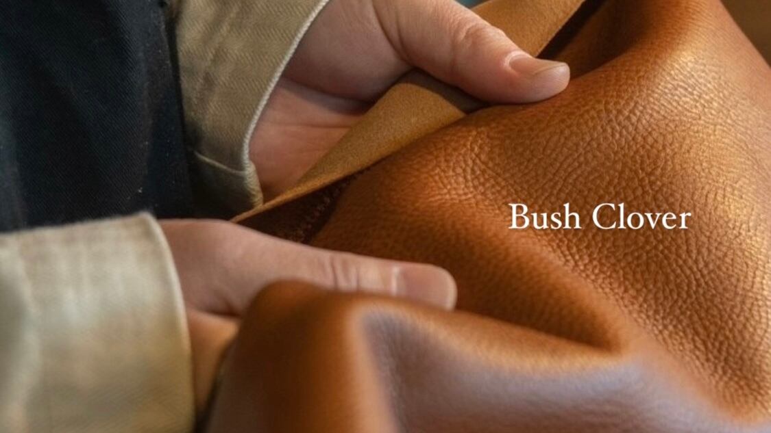 Bush Clover