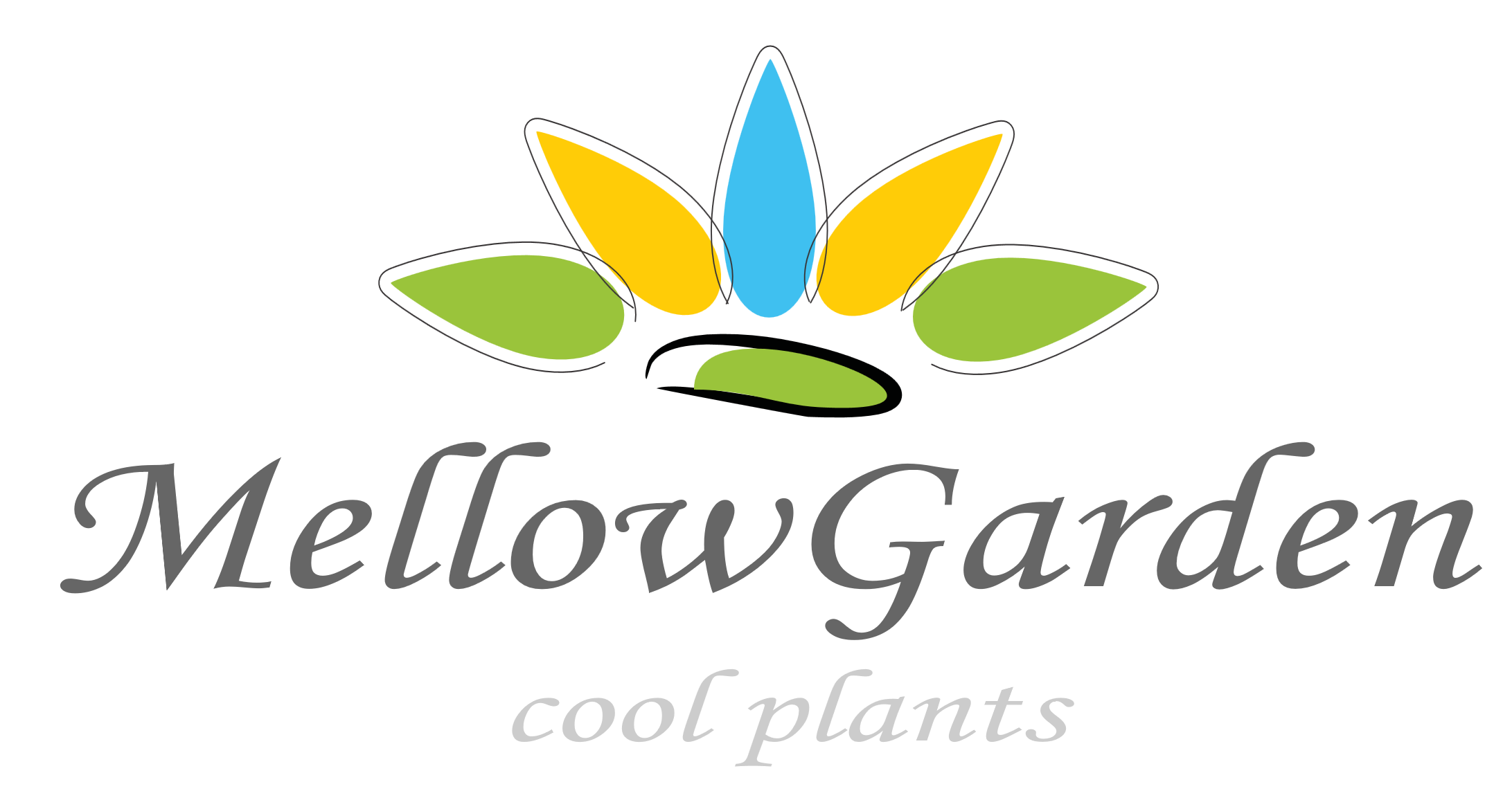 多肉植物ハオルチア・アガベ・サンスべリアの店mellowgarden