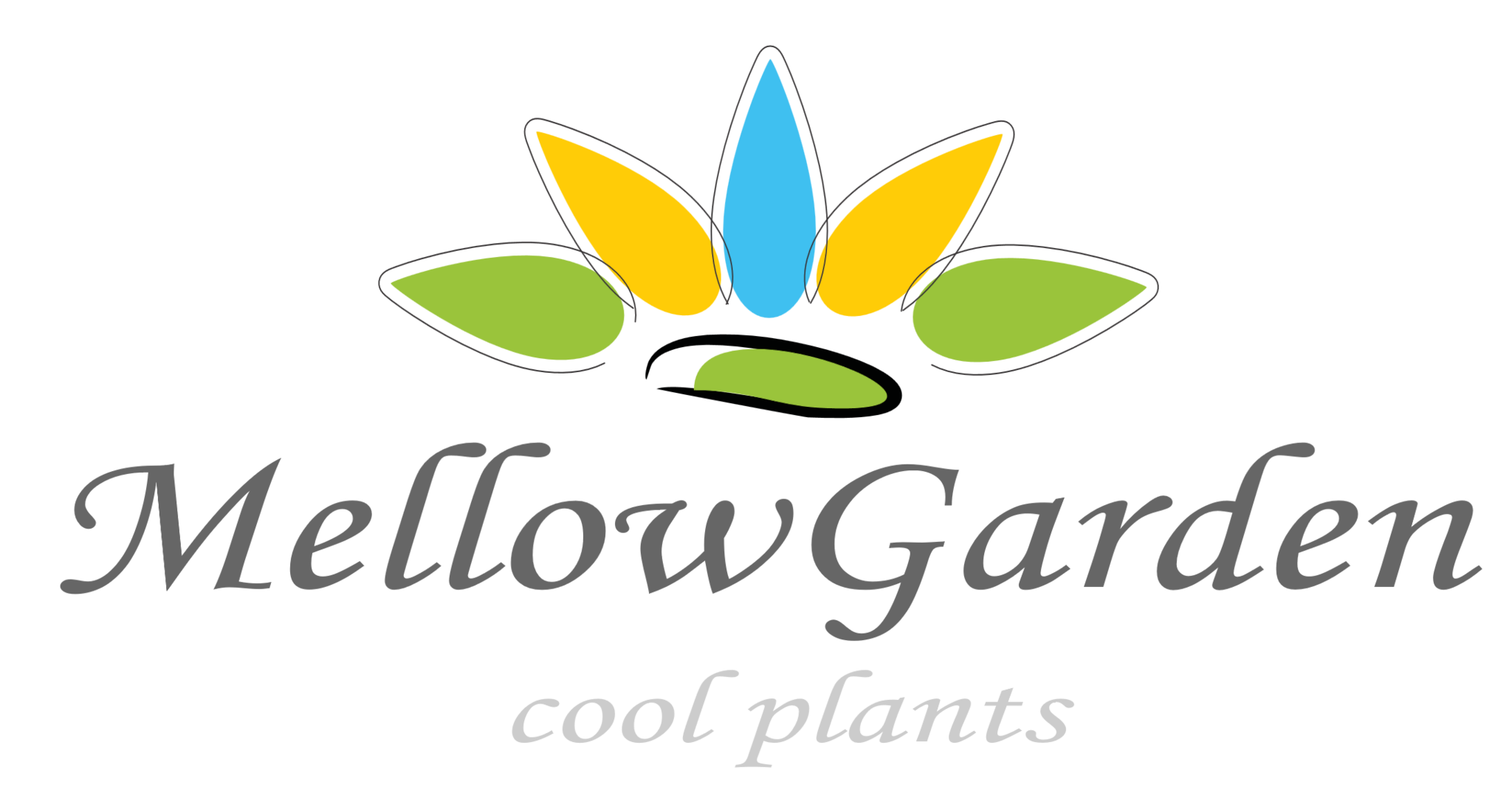 多肉植物ハオルチア・アガベ・サンスべリアの店mellowgarden