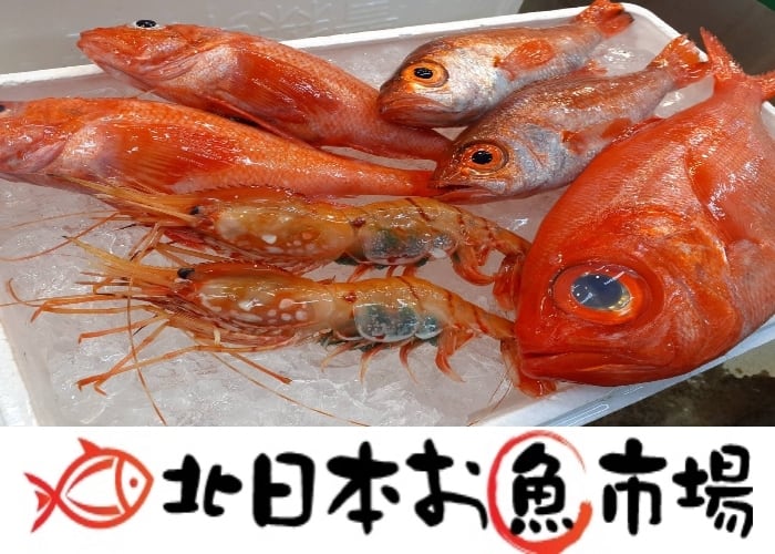 北日本お魚市場＠カネキ商事　