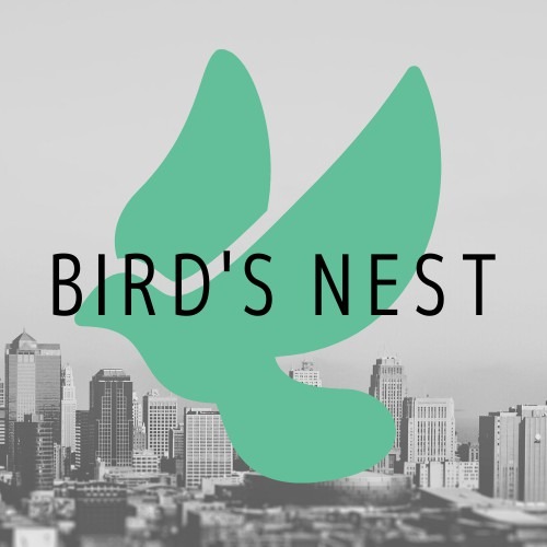 BIRD'S NEST
