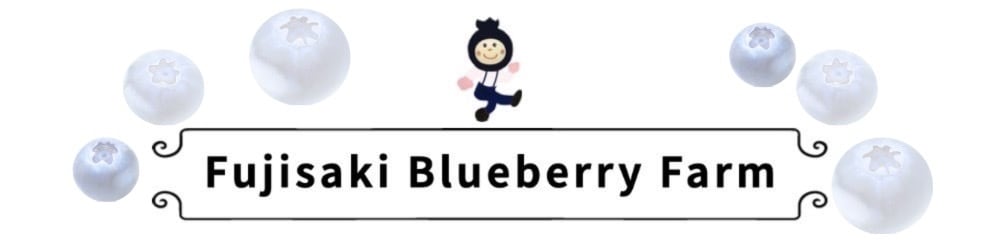 Fujisaki Blueberry Farm
