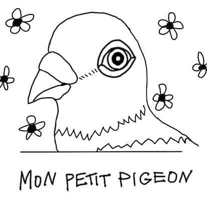 mon petit pigeon